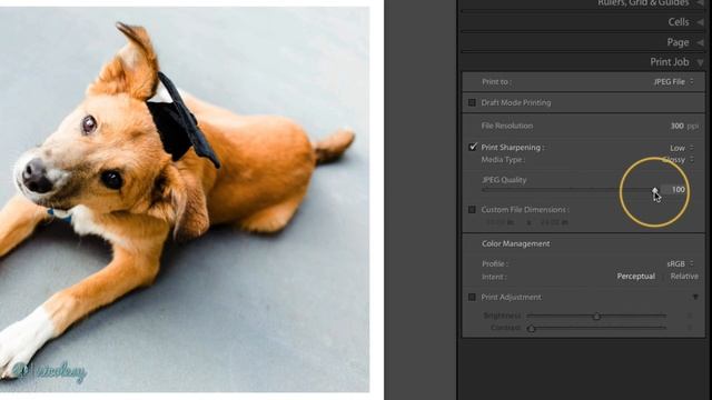 Save a print as a JPEG in Lightroom Classic смотреть онлайн
