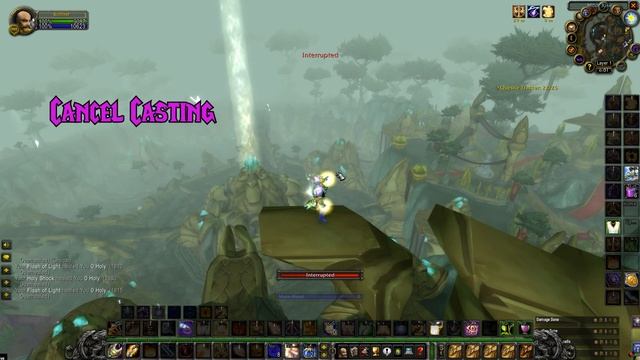 99 parsing TBC Holy Paladin tips and tricks! смотреть онлайн