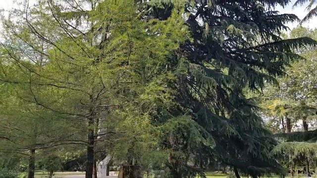 СОЧИ ? ДЕНЬ ГОРОДА | Субтропический рай в отдельно взятом городе смотреть онлайн