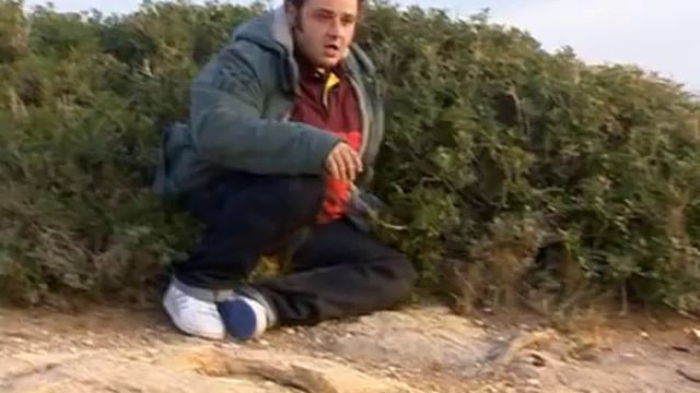 MEGA Singles 2,5 S01E11 смотреть онлайн