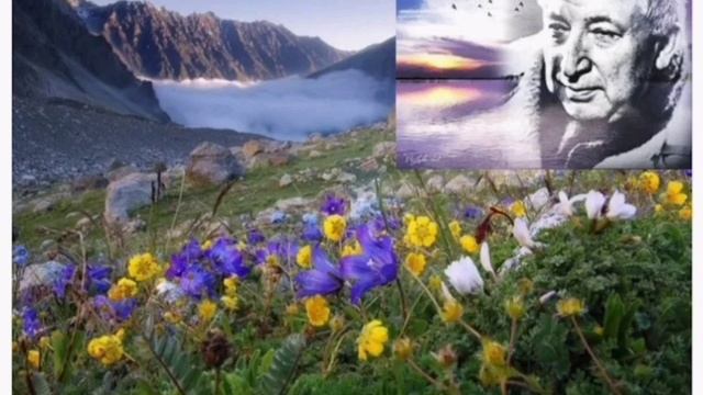 Литературное путешествие «Учитель на страницах книг» (к 100-летию Р.Г.Гамзатова) смотреть онлайн