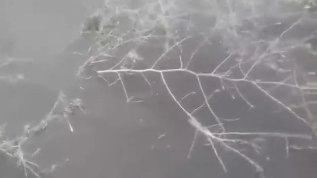 Ноу-тил Последствия ветровой эрозии в Крыму 27,02 2020г смотреть онлайн