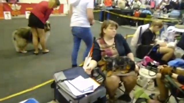 P1050137 смотреть онлайн