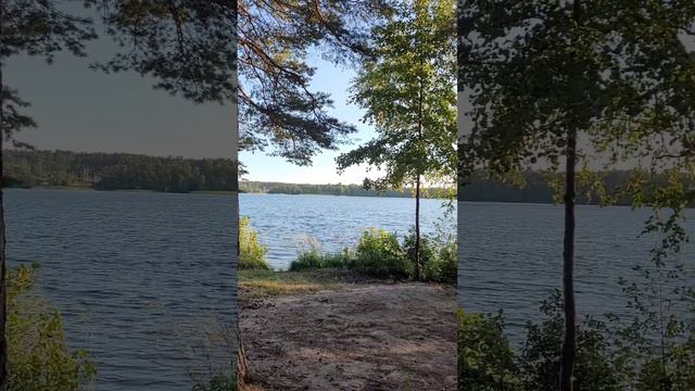 Карелия 2024. Озеро Снетково. Июль 2024г (Часть 3).mp4 смотреть онлайн