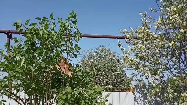 Урал.Черемуха цветет... смотреть онлайн