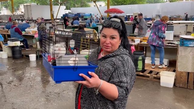 ДОЛГОЖДАННЫЙ ОПЕРАТОР смотреть онлайн