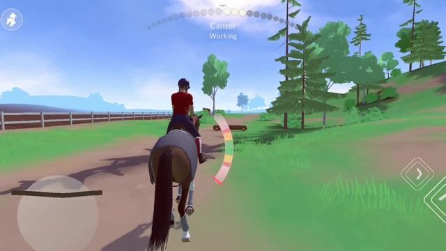 Как прокачать менталку,чтобы лошадь прыгала из любого положения? ETG?