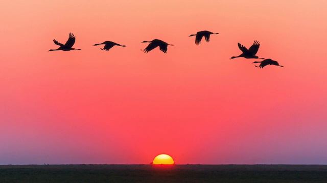 Relaxing Persian Music   Kamancheh   Kayhan Kalhor