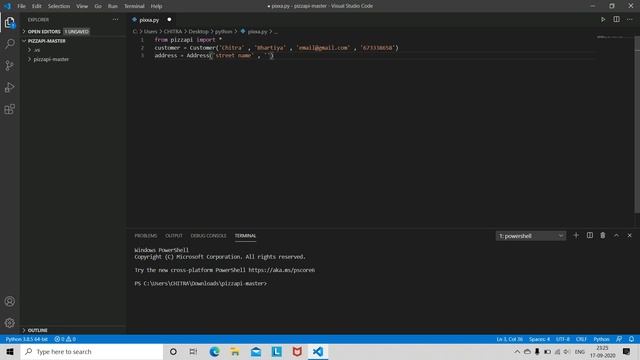 Ordering a pizza using Python | Pizzapi | Domino's Pizza | Python смотреть онлайн
