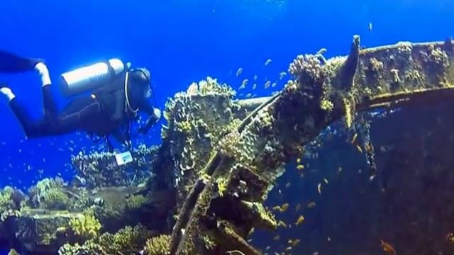 CORAL GARDEN RESORT, SAFAGA/ORCA DIVING