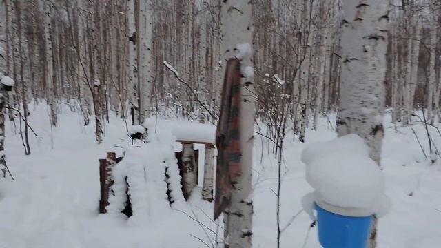 Домик на болоте смотреть онлайн