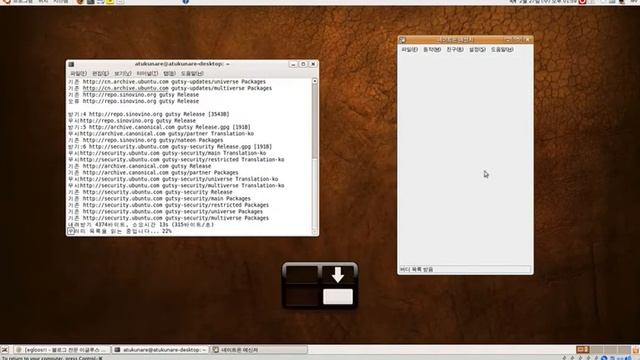 leopard,windowsXP,ubuntu смотреть онлайн