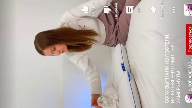 играю в чикин ган, животных, роблок и тока бока смотреть онлайн