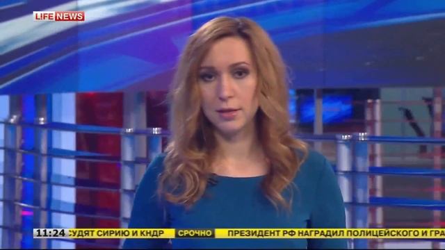 Видео "Шарпей Дэвидсон" - Новости про Хайбуллу смотреть онлайн