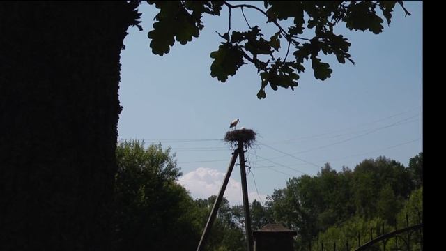 Престольный праздник отметят завтра в возрождающемся Свято-Успенском Тадулинском женском монастыре смотреть онлайн