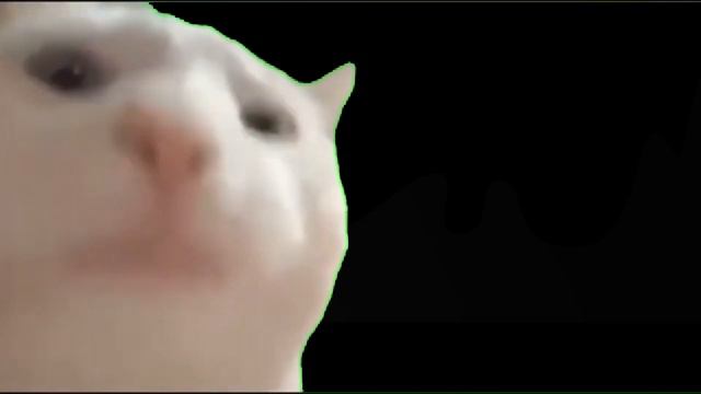 Cat vibes to epic music смотреть онлайн