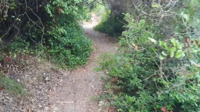 Отдых в Турции 2020 Море, Ультра Всё Включено Justiniano Deluxe Resort !