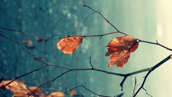 Andrey Korolev - Memories (DEMO. autumn2012) HD