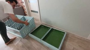 Новый домик для морских свинок своими руками