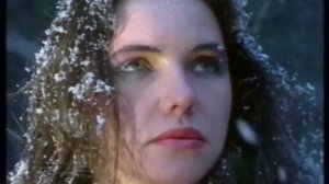 Старый лес - Андрей Разин