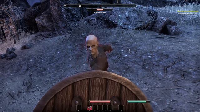THE ELDER SCROLLS ONLINE | Let's Play en Español | Capitulo 1 "Una Gran Aventura" смотреть онлайн