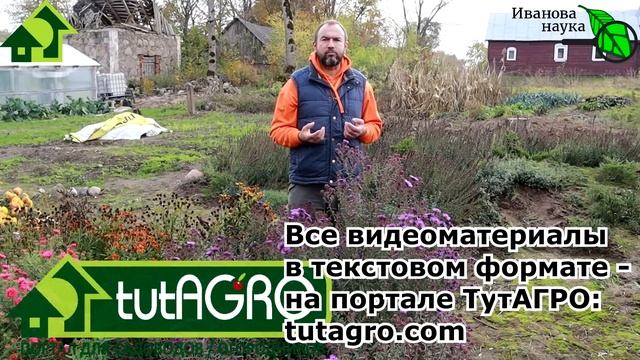 САМЫЙ ПРОСТОЙ СПОСОБ ОПРЕДЕЛИТЬ ПЛОДОРОДИЕ ПОЧВЫ. Не упустите возможность сделать БЕСПЛАТНЫЙ тест! смотреть онлайн