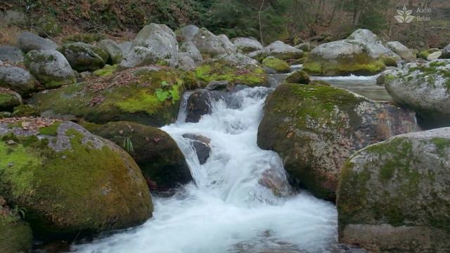 Ragging water stream flowing. Nature Noise for Relaxing Sleep смотреть онлайн