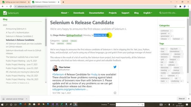 New Feature of Selenium Grid смотреть онлайн