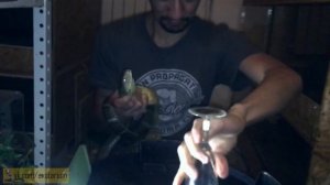 Змеиный яд. Дойка королевской кобры