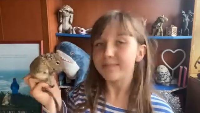 Малыш Ариана / Скороговорка смотреть онлайн