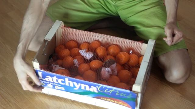 Сезонные мандарины из Марокко | Обзор фруктов смотреть онлайн