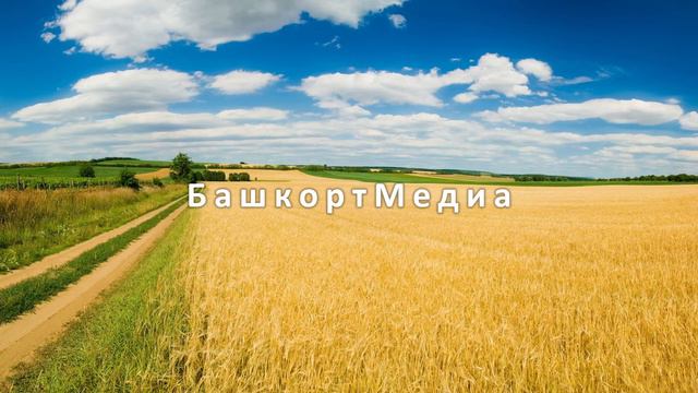Ирек Нугуманов – Зангар кулмак | Башкирские песни