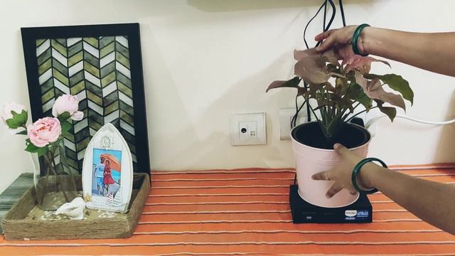 How To Decorate TV Console In Two Different Ways|| Rental Friendly Decor Idea
