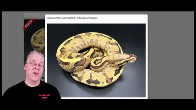 Eight Ball Python Genes that are Difficult to Work With смотреть онлайн