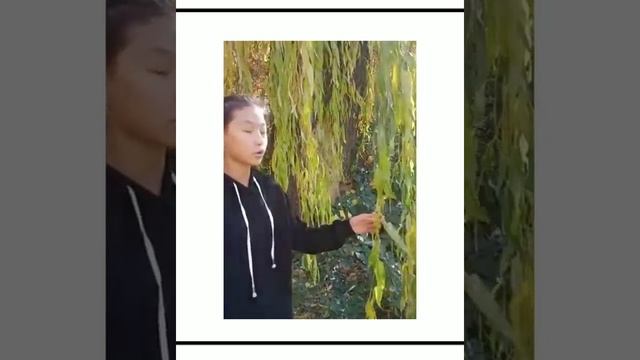 "Осень в поэзии С. Есенина". смотреть онлайн