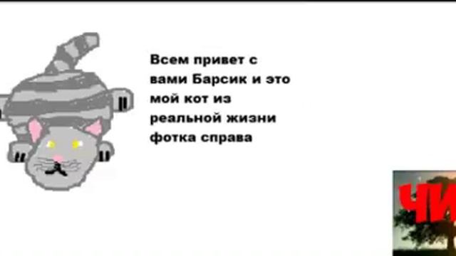 КАК ВЫГЛЯДИТ БАРСИК смотреть онлайн