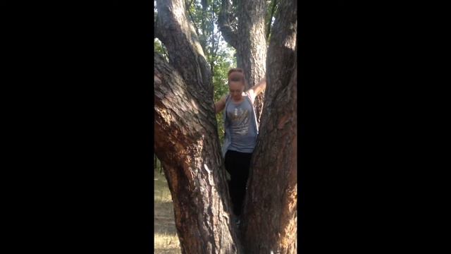 ВЛОГ | ОБЕЗЬЯНКА НА ДЕРЕВЕ 🐒🐵 смотреть онлайн