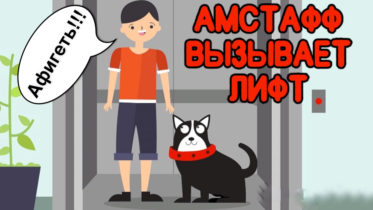 Амстафф вызывает лифт. #SHORTS смотреть онлайн