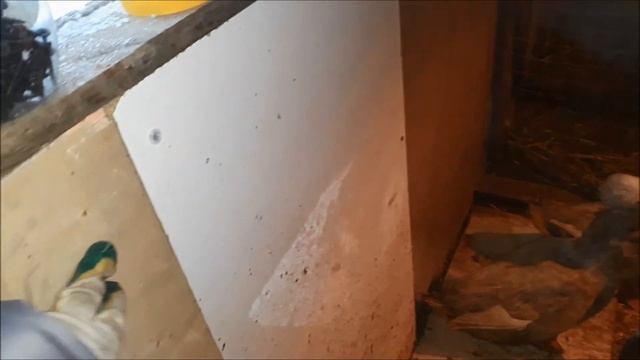 Фазан красный приболел(Разделили кур и уток теперь у каждого свои места.Новые кормушки своими рукам смотреть онлайн