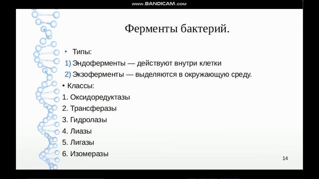Лекция №2. Общая бактериология. Физиология бактерий. Виды сред, асептика и антисептика. смотреть онлайн
