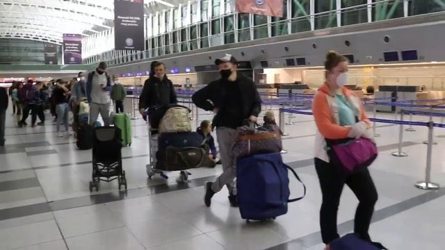 Спасибо Посольству РФ в Аргентине! смотреть онлайн
