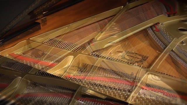 Yamaha C6 Semi Concert Grand Piano смотреть онлайн