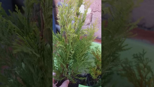 РАСПАКОВКА !Что случилось с посылкой ОПТ-ХОЗ в дороге 22 дня !