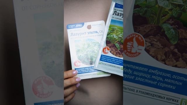 2 варианта защиты картофеля от сорняков. Умная прополка смотреть онлайн