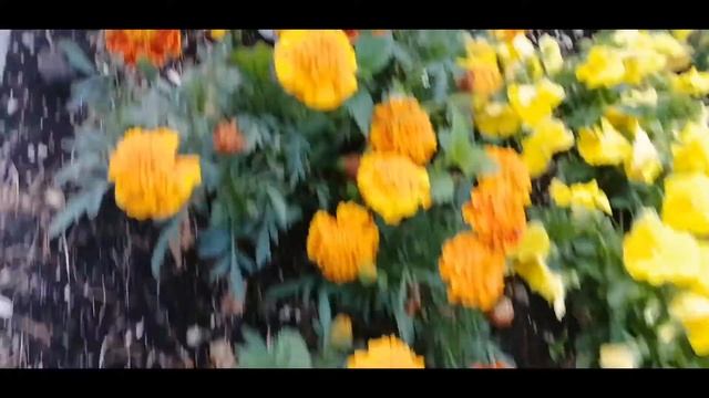 г. Ржев интересные места и мемориал советскому солдату. смотреть онлайн