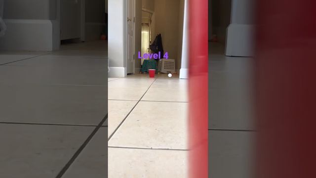 Ping pong trick shots level 1-5 смотреть онлайн