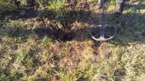 СИГНУМ  МФД И ЭКВИНОКС  800!!!