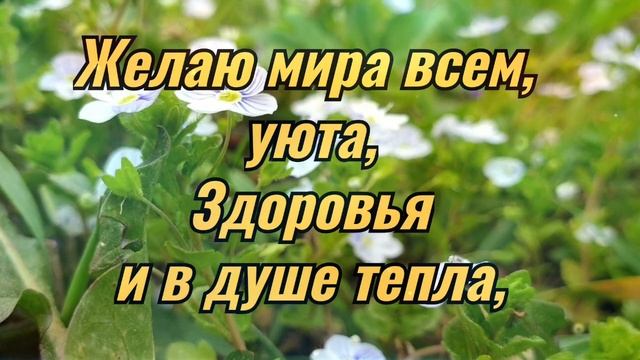 Очень красивое поздравление с весенним праздником Навруз! Поздравляю с Наурызом! смотреть онлайн