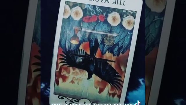 1 MINUTE TAROT & ORACLE READING| What blocks are keeping you from achieving your goals? смотреть онлайн