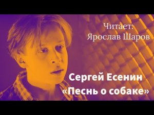 Сергей Есенин «Песнь о собаке» («Утром в ржаном закуте…»). Читает Ярослав Шаров